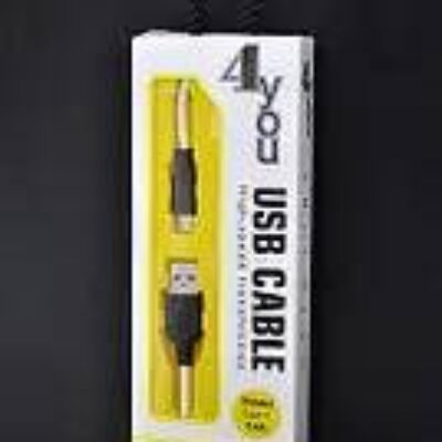Type-C Dnister 4you 2m White