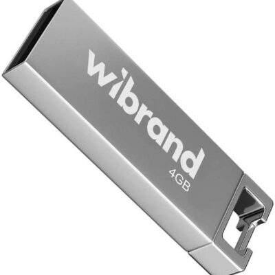 Флешка 4GB USB2.0 Wibrand Chameleon